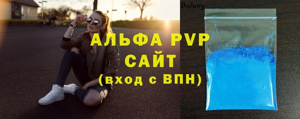 шишки Аркадак