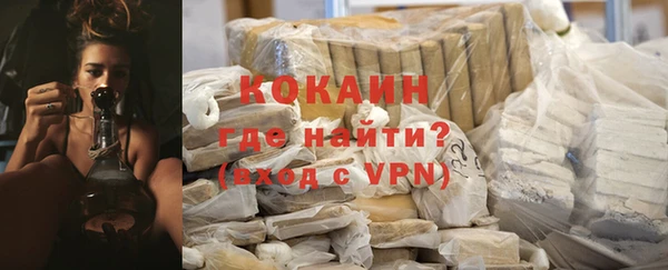 шишки Аркадак