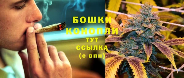 шишки Аркадак