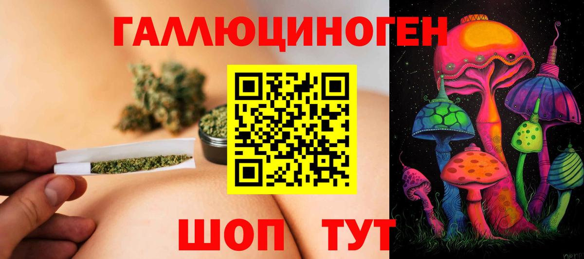 Псилоцибиновые грибы Cubensis Георгиевск