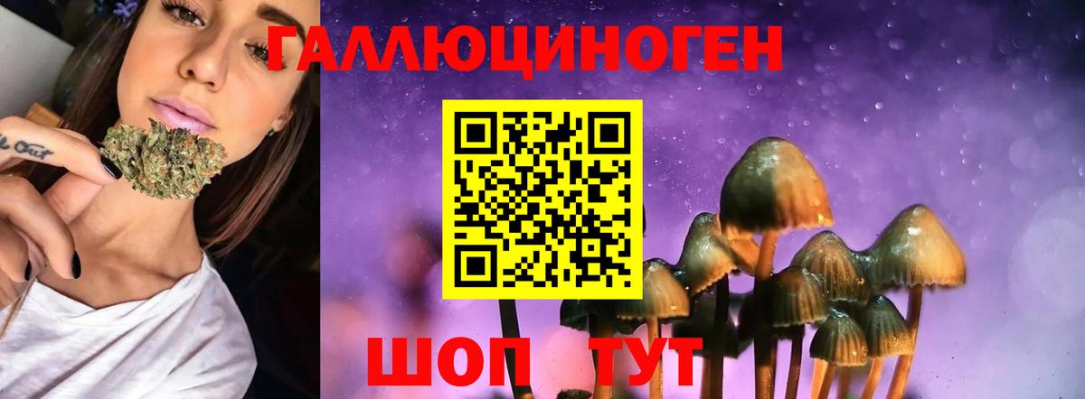 закладки  Галлюциногенные грибы мицелий  Георгиевск  Вход с VPN  Псилоцибиновые грибы мухоморы 
